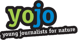 yoyo_logo