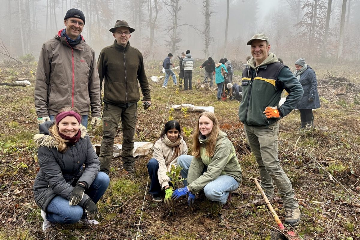 Groß (FHG_pflanzt_1200_Bäume_2025IMG_4382 2)