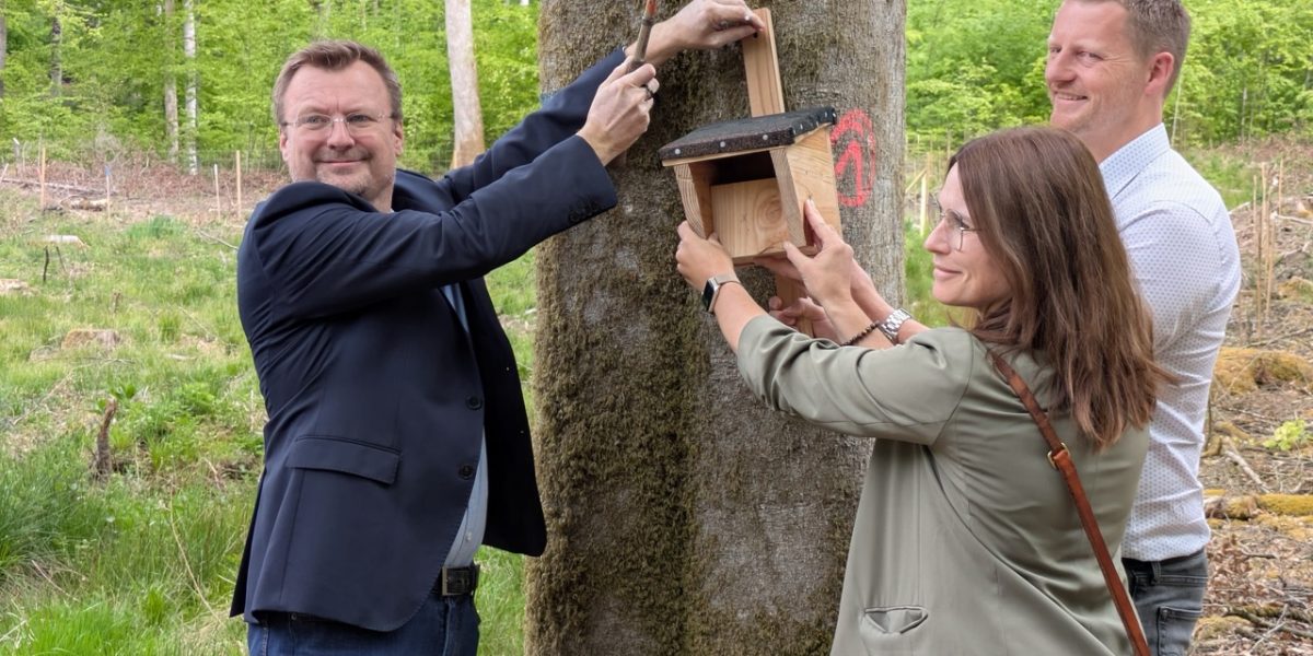 Groß (Jubiläumswald_EinweihungPXL_20260428_120919352)